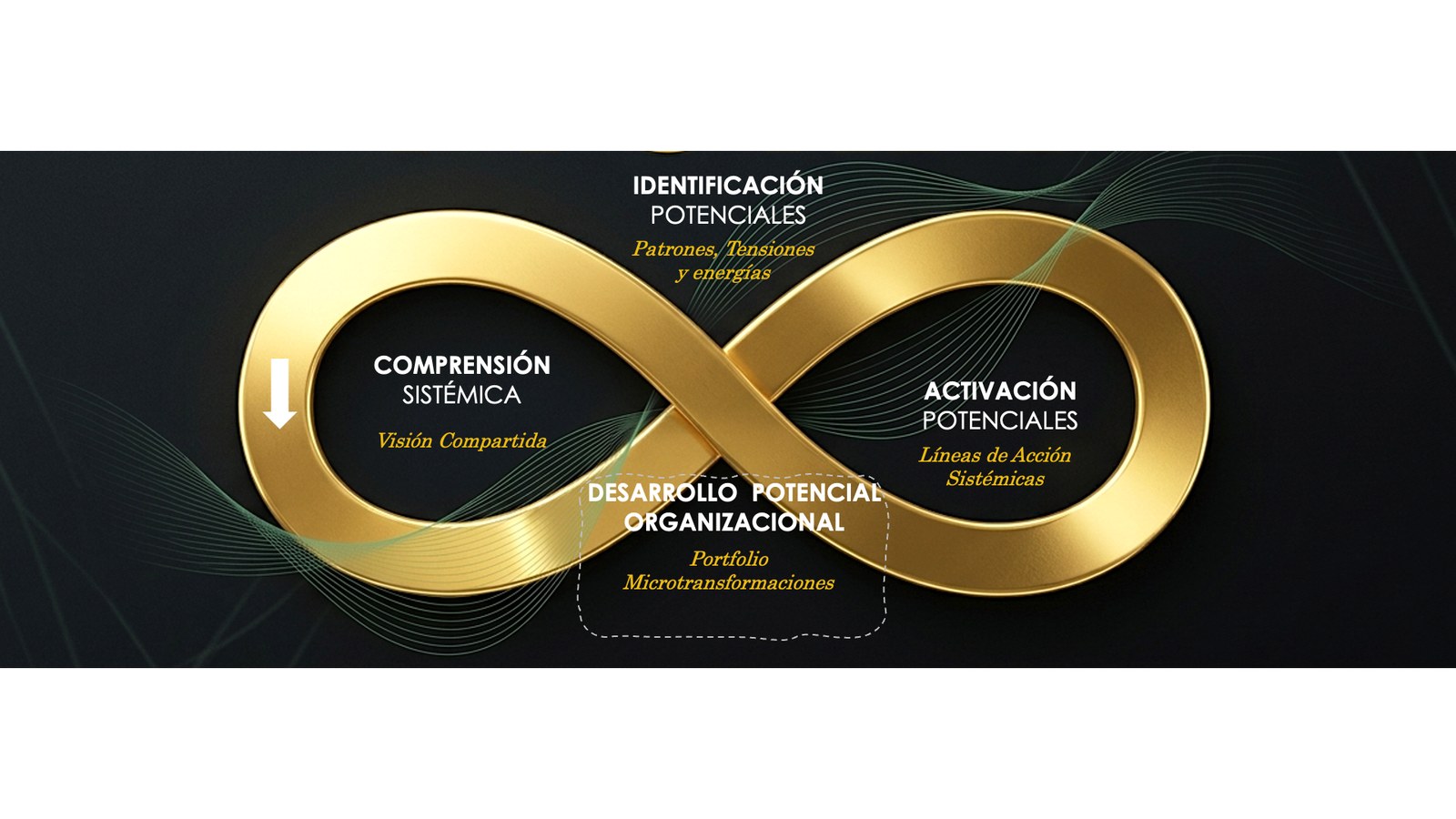 Diagrama de la doble espiral de Hélix con las cuatro fases: Comprensión Sistémica, Identificación de Potenciales, Activación de Potenciales y Desarrollo Potencial Organizacional