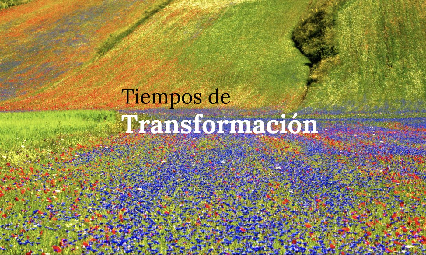 Campo florido en plena floración, con el texto Tiempos de Transformación